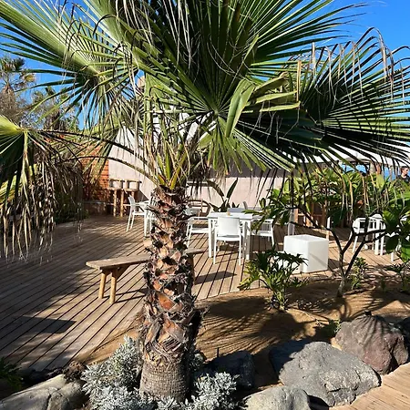 公寓 Sunset Mar - Family Friendly *